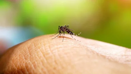 Brazilyada denge qızdırmasına qarşı mübarizə davam edir