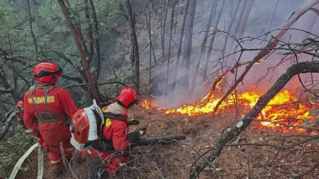 Çində meşə yanğını : 3400 nəfər sakin təxliyə edildi