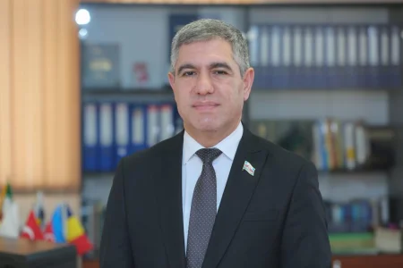 Deputat: "Bəzi valideynlər aylıq müavinətdən istifadə etmirlər"