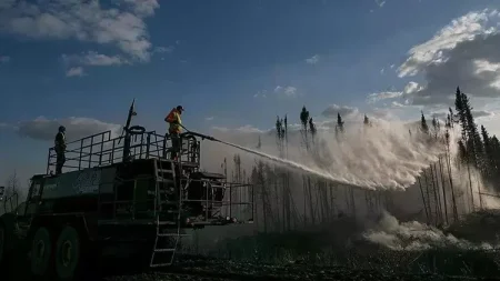 Kandada meşə yanğınları davam edir