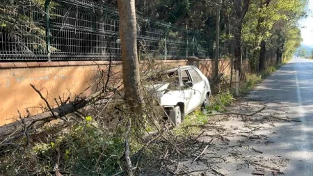 Ağaca çırpıılan avtomobil yandı: Sürücü yaralandı