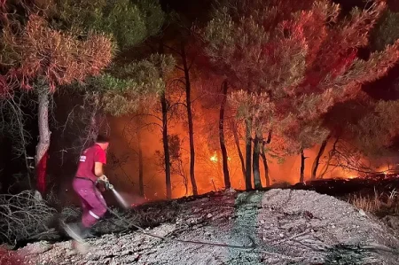 Meşə yanğını evlərə sıçradı